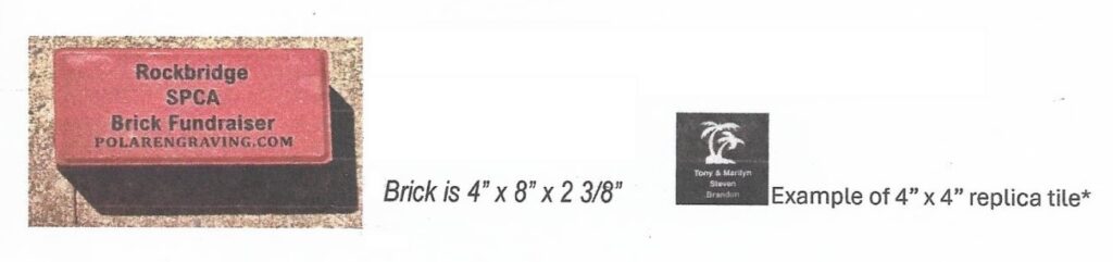 Att.FazUnwL LZ Cn6qyFqgH 1R3qr12tlnoAz 5NQu9jpY